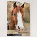 Search for horse puzzles Cute