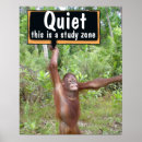 Search for fun library posters Teacher