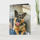 Recherche de velu vœux cartes Chien