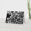 Search for embroidery cards Black