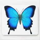 Search for papillons electronics Butterflies