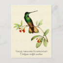 Search for vintage violet flowers postcards Floral