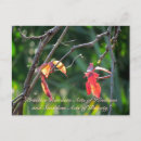 Search for random postcards Kindness