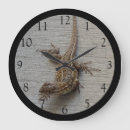 Recherche de tambours horloges Animal