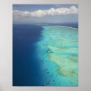 Search for beachcombing posters Aerial