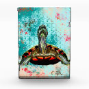 Search for turtle photo display Blue