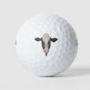 Search for cow golf balls Farm