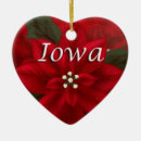 Search for iowa ornaments Usa