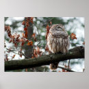 Search for optimistic posters Nature