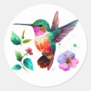 Search for hummingbird stickers Cute