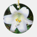 Search for lily ornaments Flower