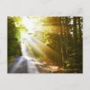 Search for beam postcards Horizontal
