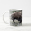 Search for buffalo bison mugs Nature