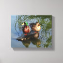 Search for wild duck art Waterfowl