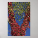 Recherche de vignes posters Nature