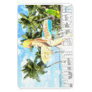 Search for sports magnets Surfer