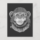 Recherche de motocycliste cartes postales Chimpanzé