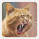 Search for yawning stickers Cute