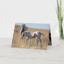 Search for foal christmas cards Equine