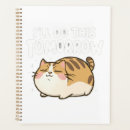 Search for funny cat meme office supplies Humour