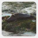 Search for california envelope seals Sunset