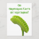 Search for vegetarianism postcards Funny