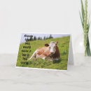 Search for veterinary graduate congratulations cards Veterinarian