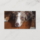 Recherche de merle cartes visite Simple