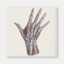Search for fingers magnets Antique