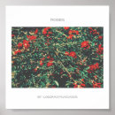 Recherche de fleur rouge posters Nature