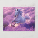 Search for unicorn postcards Whimsical