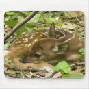 Recherche de virginie tapis souris Forêt