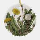 Search for dandelion ornaments Botanical