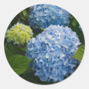 Recherche de grap autocollants Floral