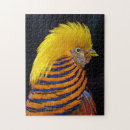 Search for pheasant puzzles Feathers
