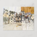Search for plushie postcards Stuffed