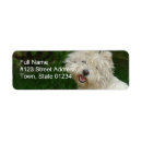 Search for bichon frise return address labels Puppy