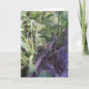 Search for swamp cards Bayou