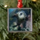 Search for baby seal ornaments Ocean