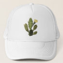 Search for cactus flower hats Succulent
