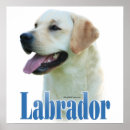 Search for sporting breed posters Dog