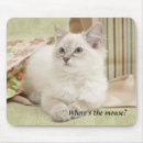 Search for fluffy white mousepads Kitten