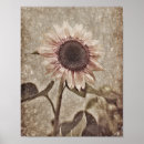 Search for pink brown posters Floral