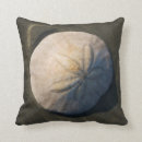 Search for sand dollar pillows Seashell