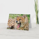 Search for cheetah birthday cards Happy
