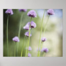 Search for drink up posters Horizontal