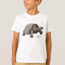 Search for tortoise stuff tshirts For kids