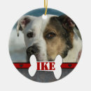 Search for dog frame ornaments Pets