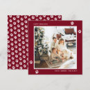 Search for pet lover christmas cards Happy howlidays