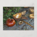 Search for chestnut postcards Brown